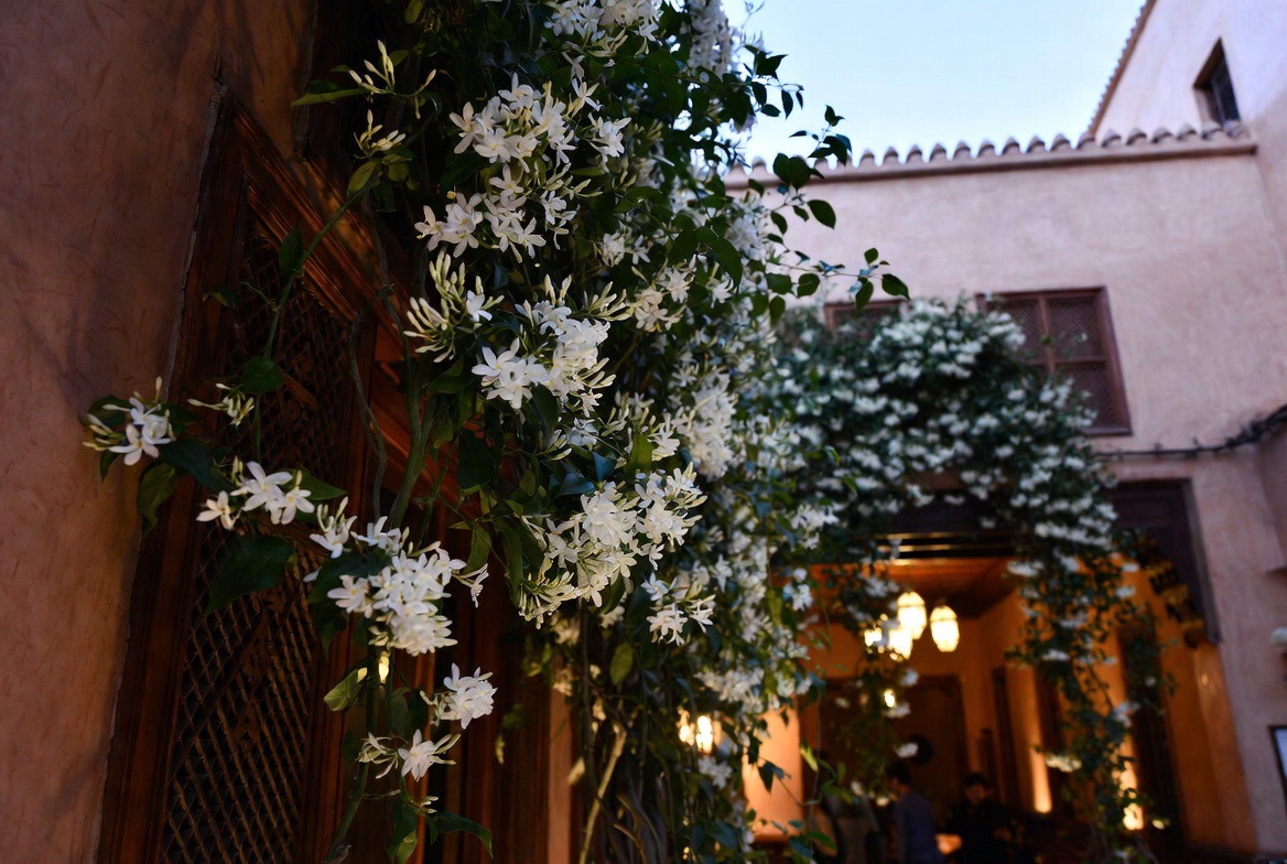 Jasmine