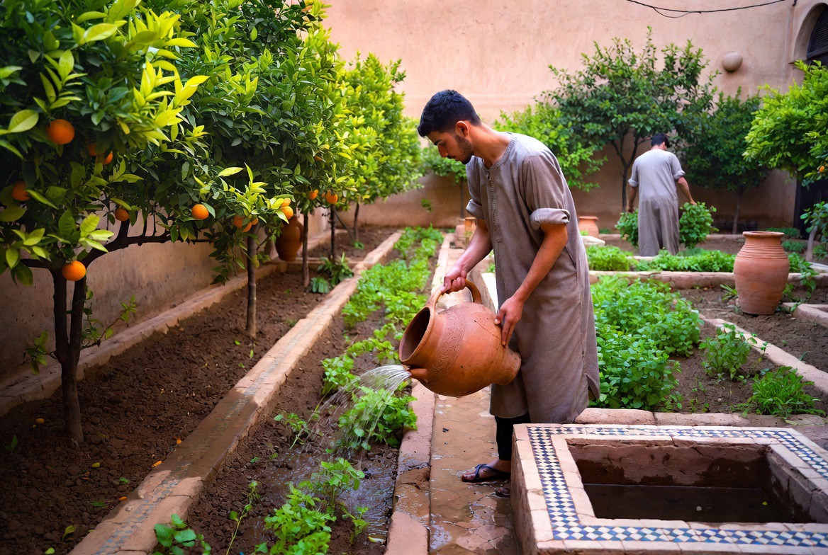 Le potager